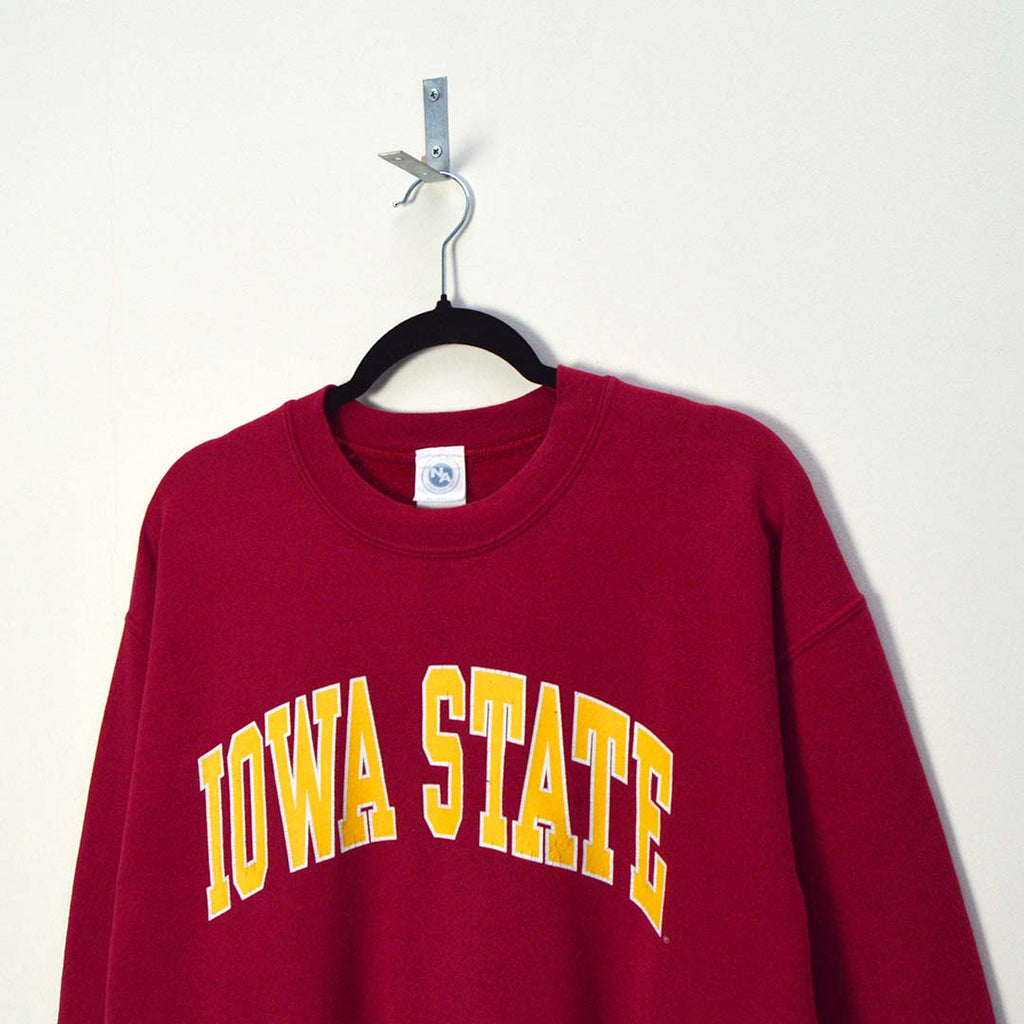 Vintage IOWA State Sweatshirt (M)