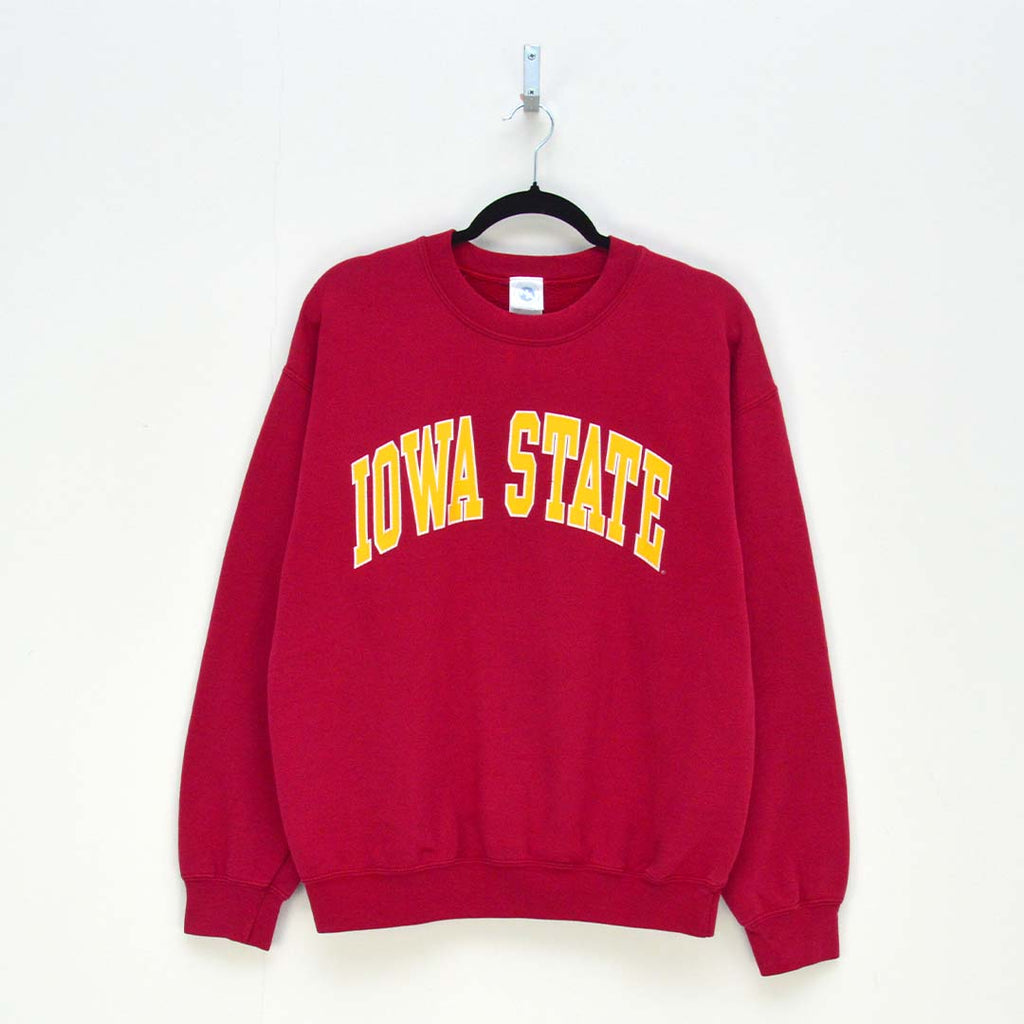 Vintage IOWA State Sweatshirt (M)