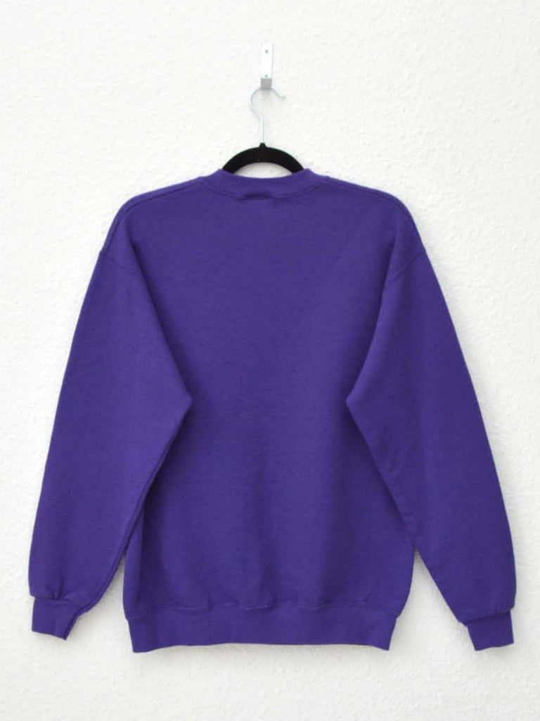 Vintage Furman University Sweatshirt (M)